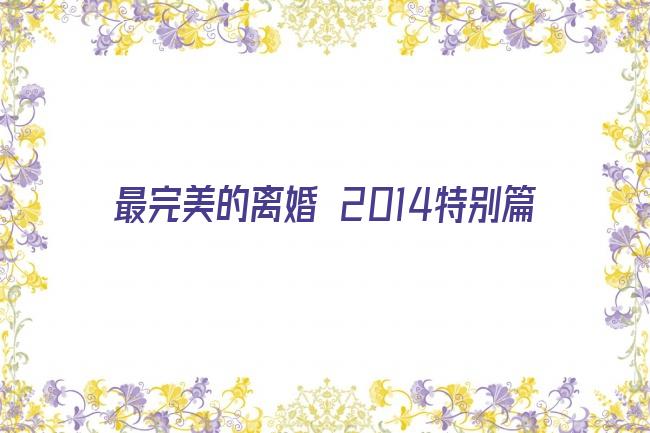 最完美的离婚 2014特别篇剧照